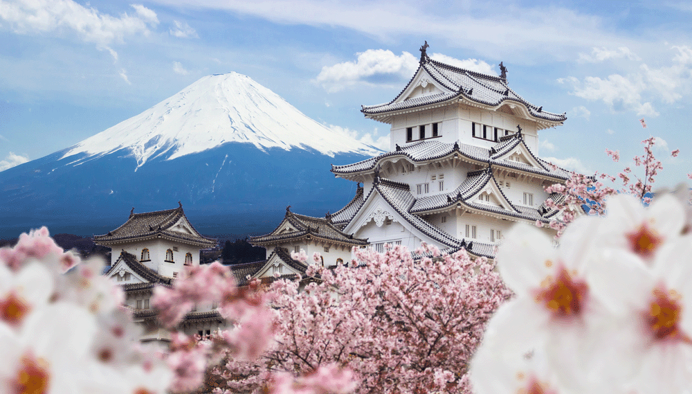 Sakura, el cerezo en flor y su tradición milenaria en Japón